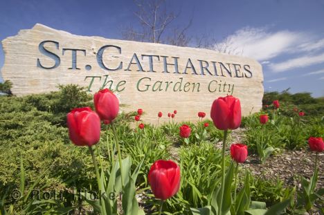 Getting to Know St. Catharines